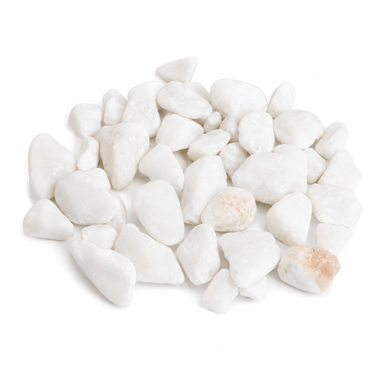 White Pebbles for Aquarium 2kg, Pack of 3 | Fish Tank Landscaping-picture-30