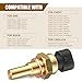 Anyhut 1 PC Car Coolant Temperature Sensor, 2-Pin Durable, Direct Fit Replacement for 15404280 12191170 60811520 12608814, Compatible with Delphi (Gold)