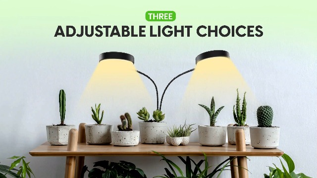 Image of OSANI LED Grow Lights for Indoor Plants, 24 inch Full Spectrum Plant Light with Gooseneck Clip On Clamp, Dimmable Desk Lamp, Auto Timer, Indoor Plant Grow Light