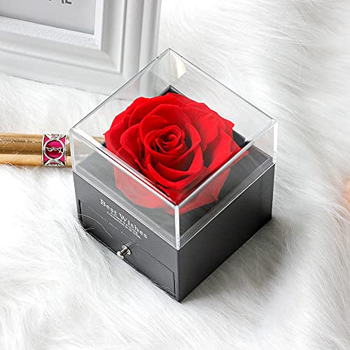 Sdfghg Preserved Real Red Rose With Love You Necklace In 100 Languages Gift Set, Enchanted Real Rose Flower For Valentine's Day Anniversary Wedding Bthday Romantic Gifts For Her #TOP5