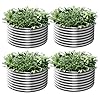 4 Pack Round Galvanized Raised Garden Bed Outdoor,Metal Garden Bed for Vegetables,Steel Raised Beds for Gardening,Above Ground Garden Box for Flower-2x2FT