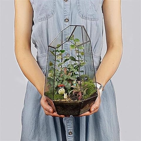 Glass Geometric Terrarium for Plants and Decor Cover