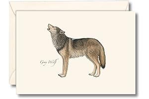 Earth Sky + Water - Gray Wolf Notecard Set - 8 Blank Cards with Envelopes