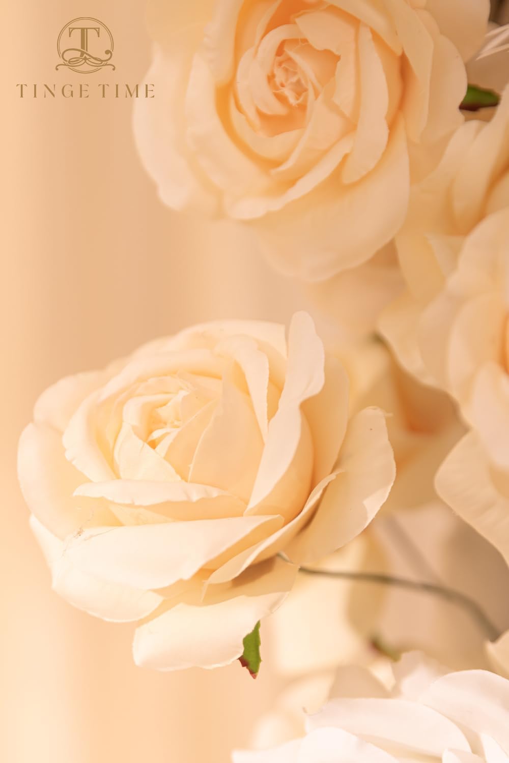 TINGE TIME Champagne Artificial Flowers Combo Box Set, 16PCS Fake Rose Silk Flower w/Stem for DIY Wedding Bouquets Centerpieces Baby Shower Party Home Spring Decoration (Champagne & Beige)