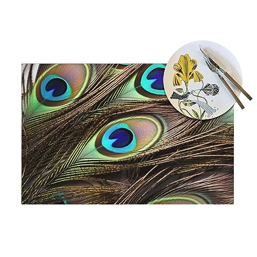 Sets de table plumes de paon lavables et tapis de table cuisine 45x30 cm