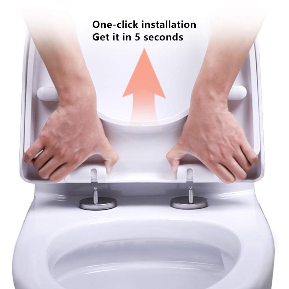 Reasons To Put The Toilet Lid Down Dengarden