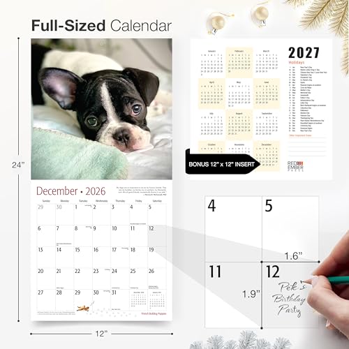 Image of RED EMBER French Bulldog Puppies 2026 Wall Calendar 12 Month | 12 inch x 24 inch Open | Thick & Sturdy Paper | Giftable | Cute Frenchie Puppy Dog Calendar 2026