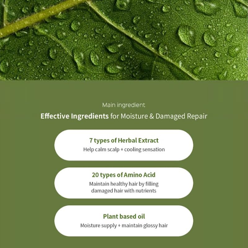 Image of LADOR Herbalism Hair Treatment (Conditioner) Korean Hair Conditioner To Control Hair Fall, Repairs Damaged Hair, Maintaining Softness, Natural Shine, Suitable For Sensitive Scalp, Frizzy, Damaged Hair