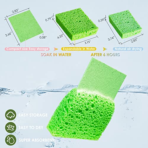 Vilphel Non Scratch Sponges 12 Pack Multi-Purpose Eco Friendly Dish Sponges For Washing Dishes #TOP1