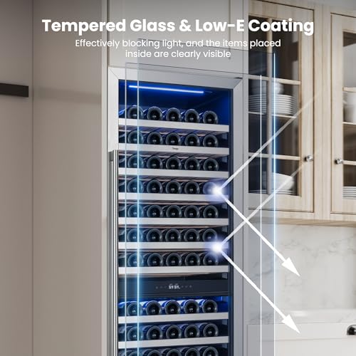 Dual Zone Wine Refrigerator Cooler