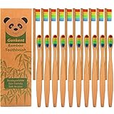 Genkent Natural Bamboo Toothbrush Made with Rainbow Nylon Infused Bristles (20 Counts)