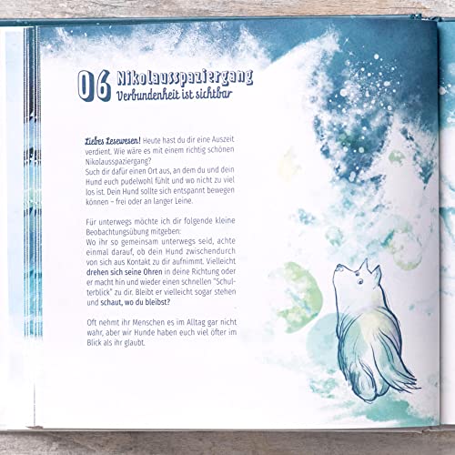 Schnauzberts Winterreise – Adventskalender für Menschen mit Hund – Erlebnisbox mit Buch, Bio-Duftöl, Spielbrett und weiterem Zubehör, für Achtsamkeit, Entspannung und positives Hundetraining