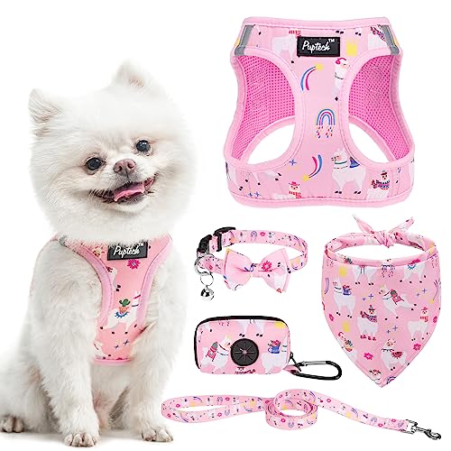 PUPTECK Soft Mesh Dog Harness and Leash Step in Puppy Harness Collar Set for Small Medium Dogs Cats, Reflective Adjustable Vest with Bandana & Poop Bag Dispenser, 5 Pack Pet Accessories, Pink S