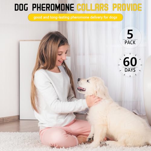 Image of 5 Pack Calming Collar for Dogs, Dog Pheromone Calm Collars Relief Anxiety Stress Separation Lasts 60 Days Relieve Bad Behavior, 25 in Size for All Small Medium and Large Dog (Gray)