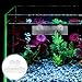 Yardwe 2pcs Detachable Water for Easy Cleaning Prevents Overflow Noise Versatile Fish Barrier Divider for Aquariums