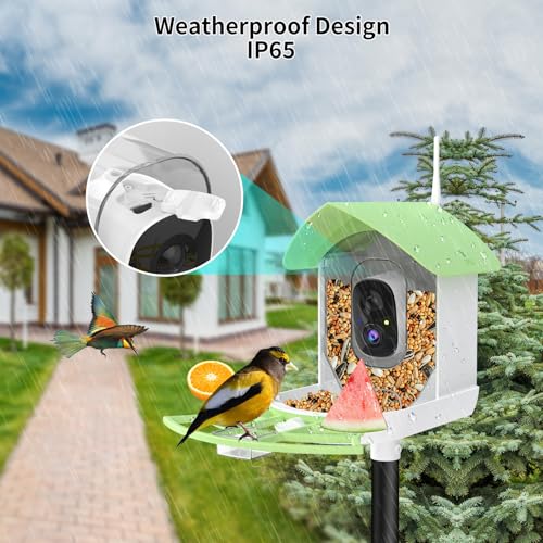 Image of Bird Feeder with Camera,Smart AI Birds Breed Recognition,Birds Motion Detection with Real-Time Notice,Auto Capture Bird Watching WiFi Camera,Solar-Powered Outdoor Charging Bird House,Ideal Gifts,Green