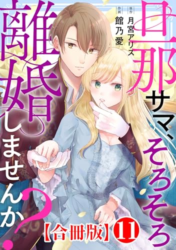 旦那サマ、そろそろ離婚しませんか？【合冊版】11 (素敵なロマンス)