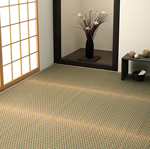 CPqR ԂJ[ybg  x[W 261×352cmE]ˊ6 4100156