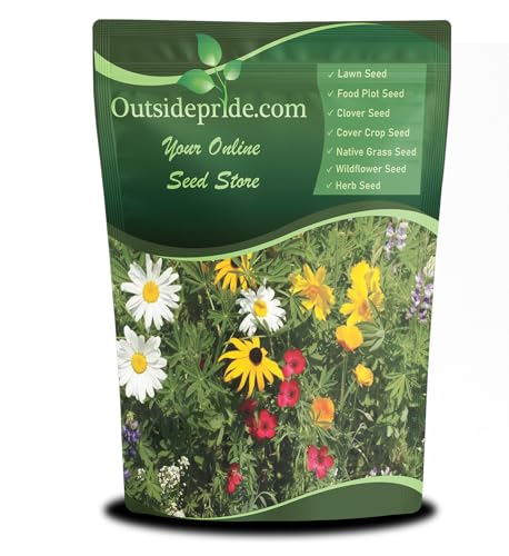 Outsidepride Perennial Wild Flower Seed Mix - 1 lb. Diverse, Long-Lasting Blooms, Easy to Grow Perennial Flower Seeds for All States, Perfect for Home Gardens, Landscapes, and Attracting Pollinators