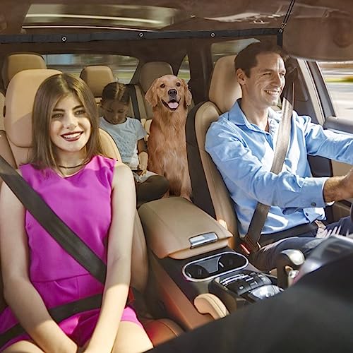 Nobleza Auto per Cani Universale, Cane Auto