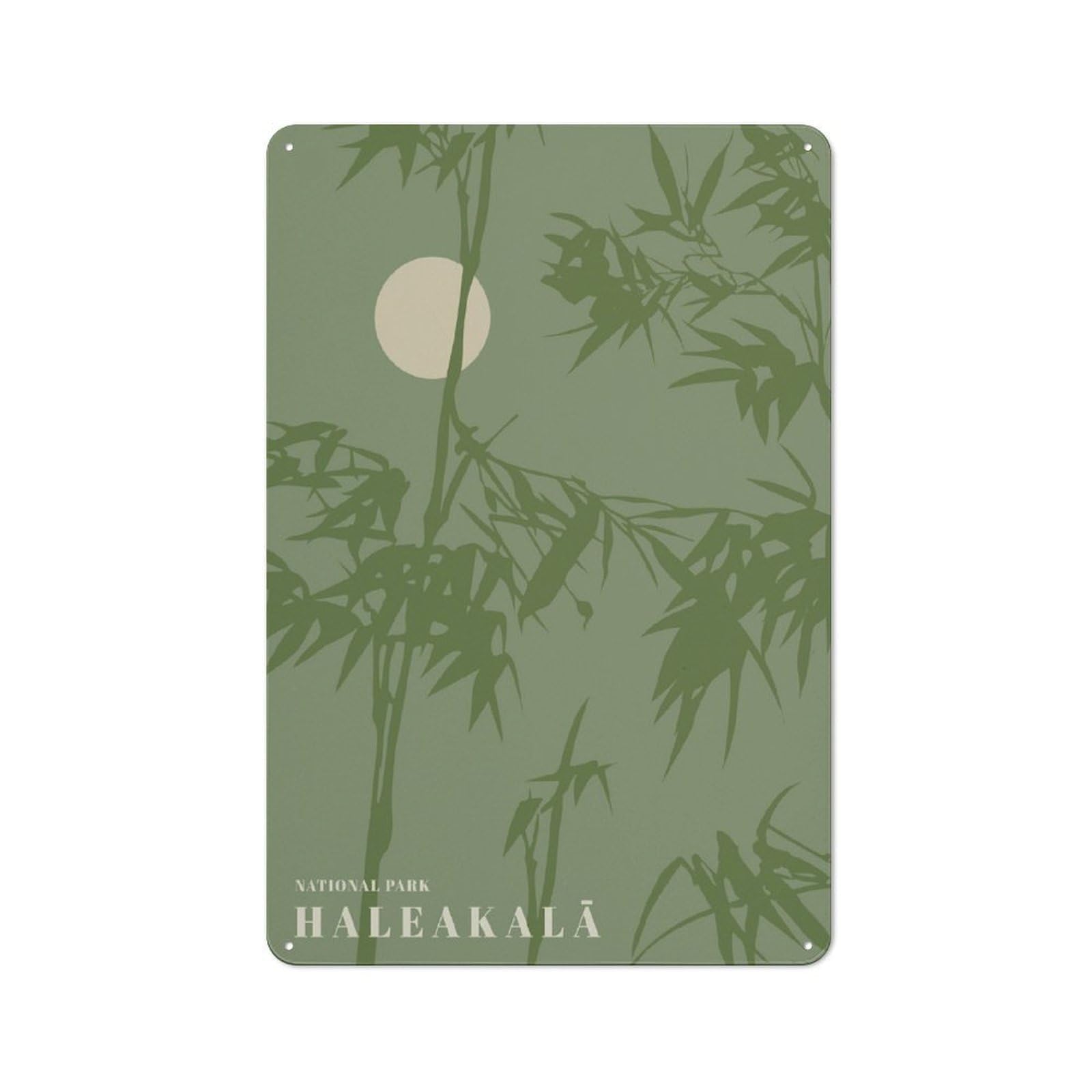 Junmoney Style-10 Haleakala National Park Decorative Metal Plaque 30X20cm, Loft Style Urban Room Decor For Flat, Bar, Studio Or Gallery Wall