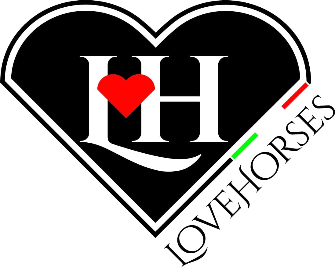 LOVEHORSES Robusta maschera per Insetti “FLYWING” - Rete certificata Standard 100 di Oeko-Tex - Protezione Perfetta dagli insetti per i cavalli in box ed in paddock. (XLARGE/XFULL, BORDEAUX)