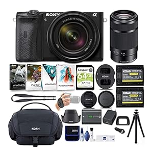 Sony Alpha a6600 APS-C Mirrorless ILC Bundle with 18-135mm and 55-210mm Lenses (8 Items)