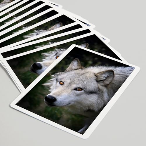 Lantern Press Wolf Face, 52 naipes póker para adultos miniatura 5
