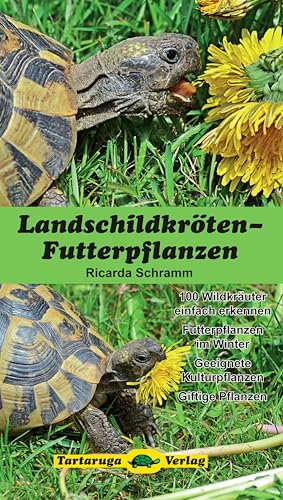 Landschildkröten-Futterpflanzen: 100 Wildkräuter einfach erkennen