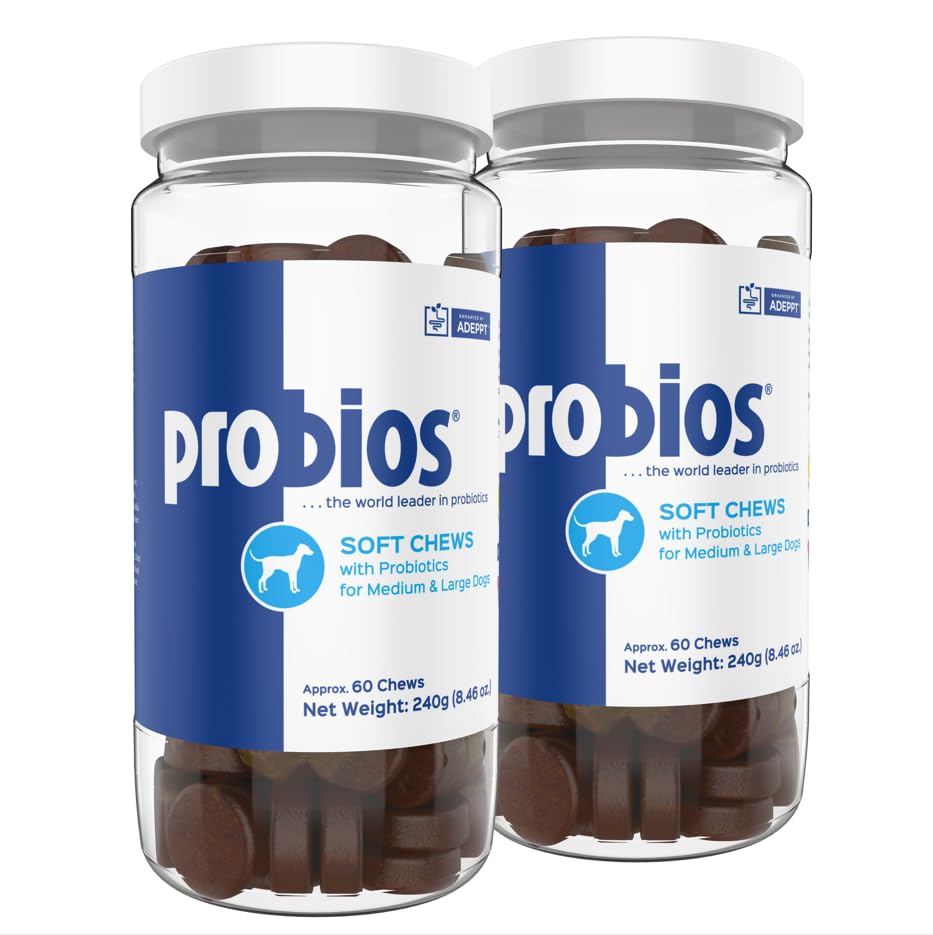 Probios for Dogs Soft Chews Daily Probiotic Supplement for Gut Health Digestion and Immune Support Medium and Large Breeds Chicken Liver Flavor 8.46oz 60 Chews (Pack of 2)