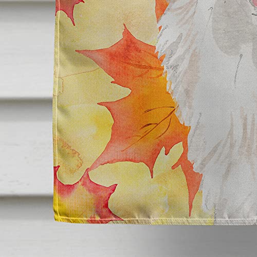 Corgi Fall Flag Caroline's Treasures grand drapeau résistant qui ne ternit pas