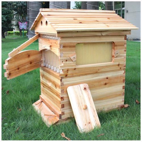 Entry-Level Bee Hive Beekeeping Kit | All-in-One Beekeeping & Honey Extraction Hive with Multiple Frames Suitable for Beginners & Professional Beekeepers (seven boxes with seven frames)