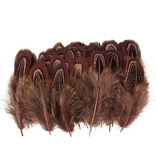 100 pcsHappy Feather Natural Pheasant Plumage Feathers 2-3 Inches Plumage