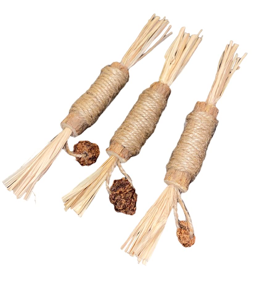 6 Palitos De Hierba Gatera Para Gatos - Con Cuerda De Cáñamo, Para Limpieza Dental Y Diversión - Reduce Sarro, Mal Aliento Y Estrés, Natural Y Seguro