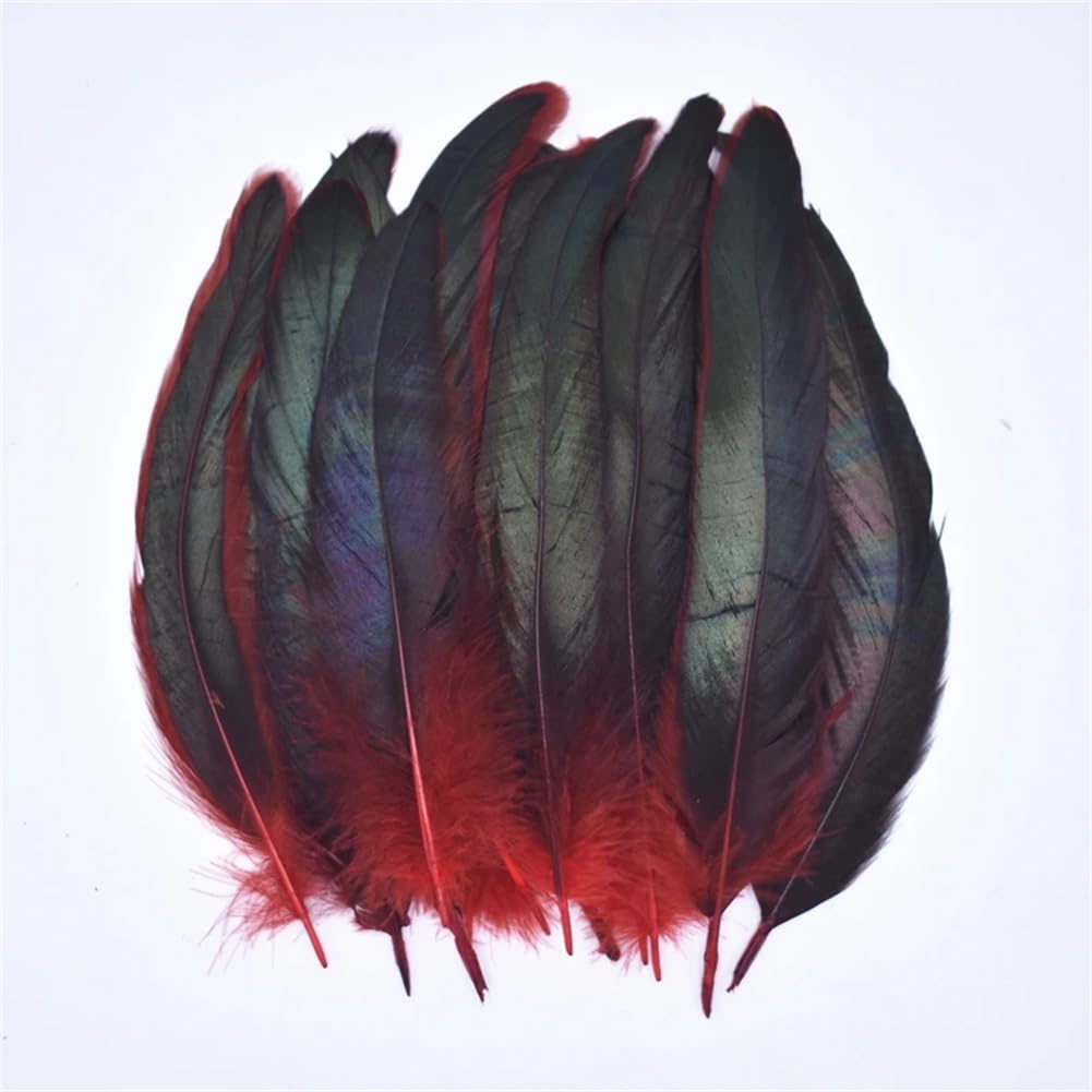 Natural Pheasant Feathers, Natural Pheasant Rooster Feathers, Craft, 50 Pcs Multicolor Fly Tying & Crafts(Red)
