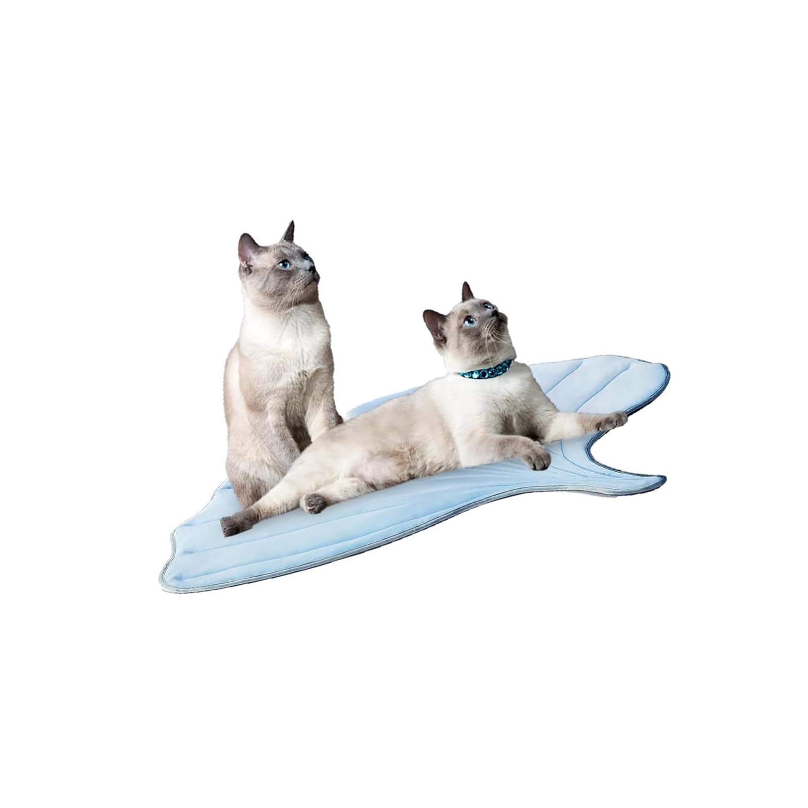 Cuccia rinfrescante per gatti, morbida, grande, cuscino per animali domestici, cuscino per la stagione calda, cuscino per dormire, cuscino per divano, cuscino per animali domestici