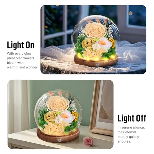 Preserved Roses in Glass Dome with LED Light - Long Lasting Real Roses, Forever Flowers for Delivery, Mothers Gifts for Her, Mom, Wife Anniversary Birthday Gifts for Women, Champagne - Image 5
