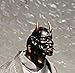 diyitoy 1:12 Scale Black Samurai Mask Model for 6'' Figure（only Mask