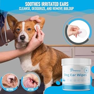 Dog ear wipes for dog | unscented dog ear cleaner for dogs | remove dirt wax itch odor | natural cleaning puppy ear wipes | soothing ear wipes for pets cat | organic ingredients | 125 xl pcs   cucciolini doodles