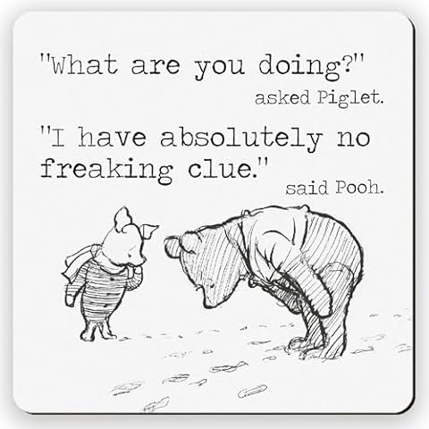 Dorothy Spring Sarcastic Special Friend Coaster Cover