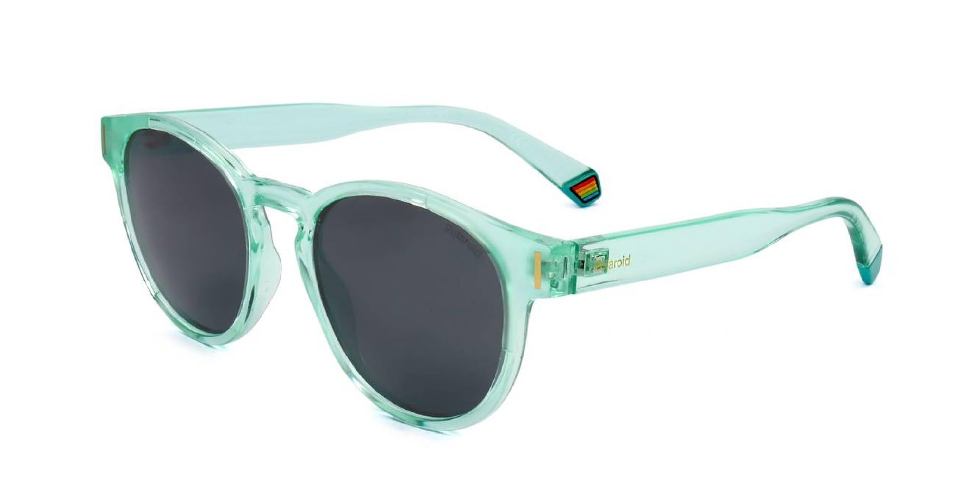 Polaroid Unisex Blue Plastic Sunglasses Pantos Style