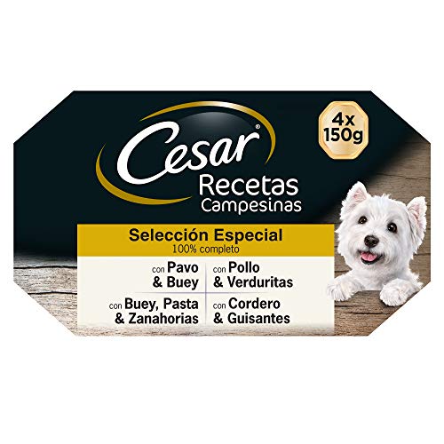 Cesar Multipack de Tarrinas de Comida Húmeda para Perros en salsa, Selección Recetas campesinas (Pack de 6 x 4 tarrinas x 150g)
