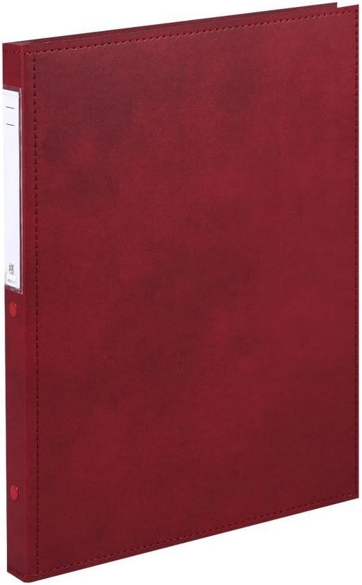 リヒトラブ カルテブック 標準タイプ A4S 30穴 レッド HB408-5 【まとめ買い3冊セット】