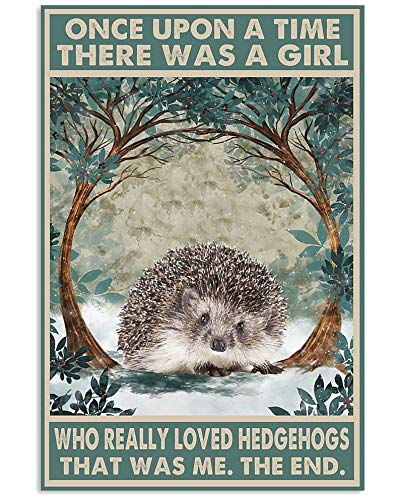 Biopracess Girls Metalpostera64692 Once Upon A Time There Was A Who Really Loved Hedgehog Poster Metal Tin Sign 8X12 Inch