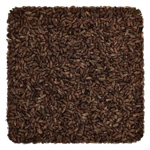 Weyermann Chocolate Rye Home Brewing Malt Whole Grain 1lb Bag