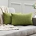 MIULEE Funda Cojines de Lino Cruzada de Imitación Fundas de Almohadas Color Puro Cremallera Oculta Decoración para Sofá Cama Silla Habitacion Oficina Salón Dormitorio 30x50cm 2 Piezas Verde