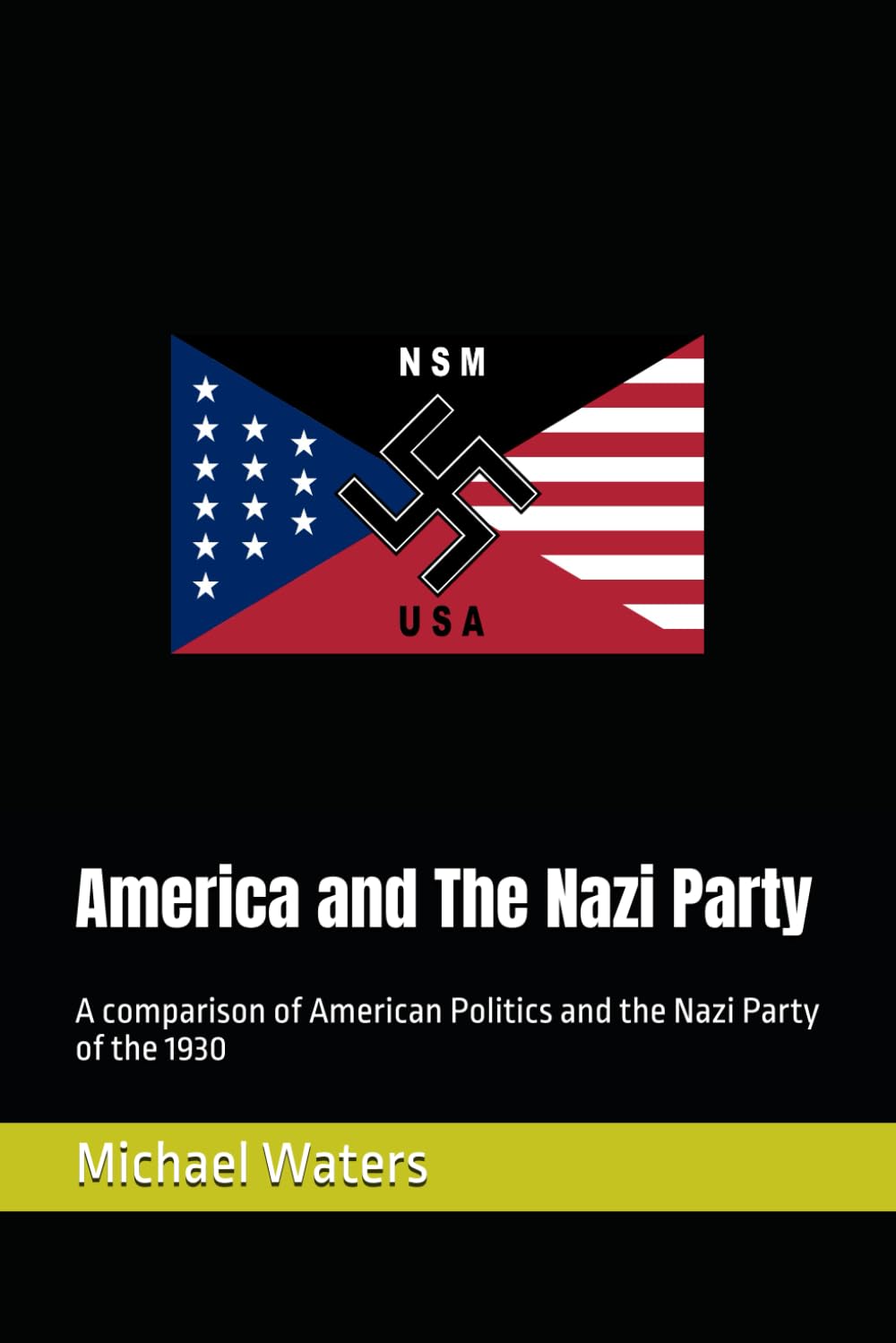 America and The Nazi Party: A comparison of American Politics and the Nazi Party of the 1930