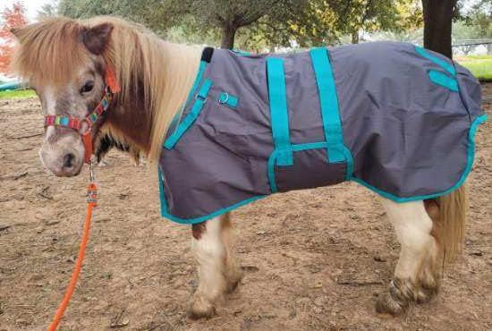 38" 1200D Lightweight Miniature Weanling Donkey Pony Foal Horse Sheet 51504