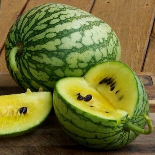 PREMIER SEEDS DIRECT - Watermelon Seeds - Petite Yellow - 60 Seeds