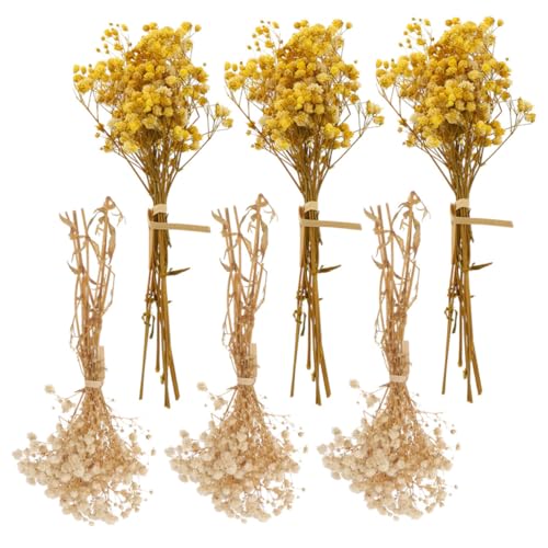 Ramo de 6 flores secas decorativas miniatura 1